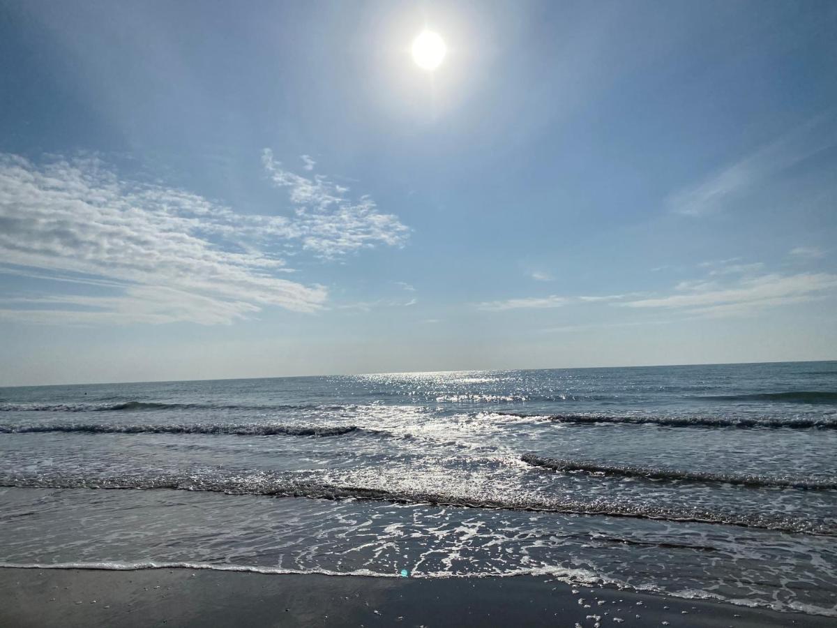 Residence El Palmar Fronte Mare, Fronte Spiaggia 리도 디 예솔로 외부 사진